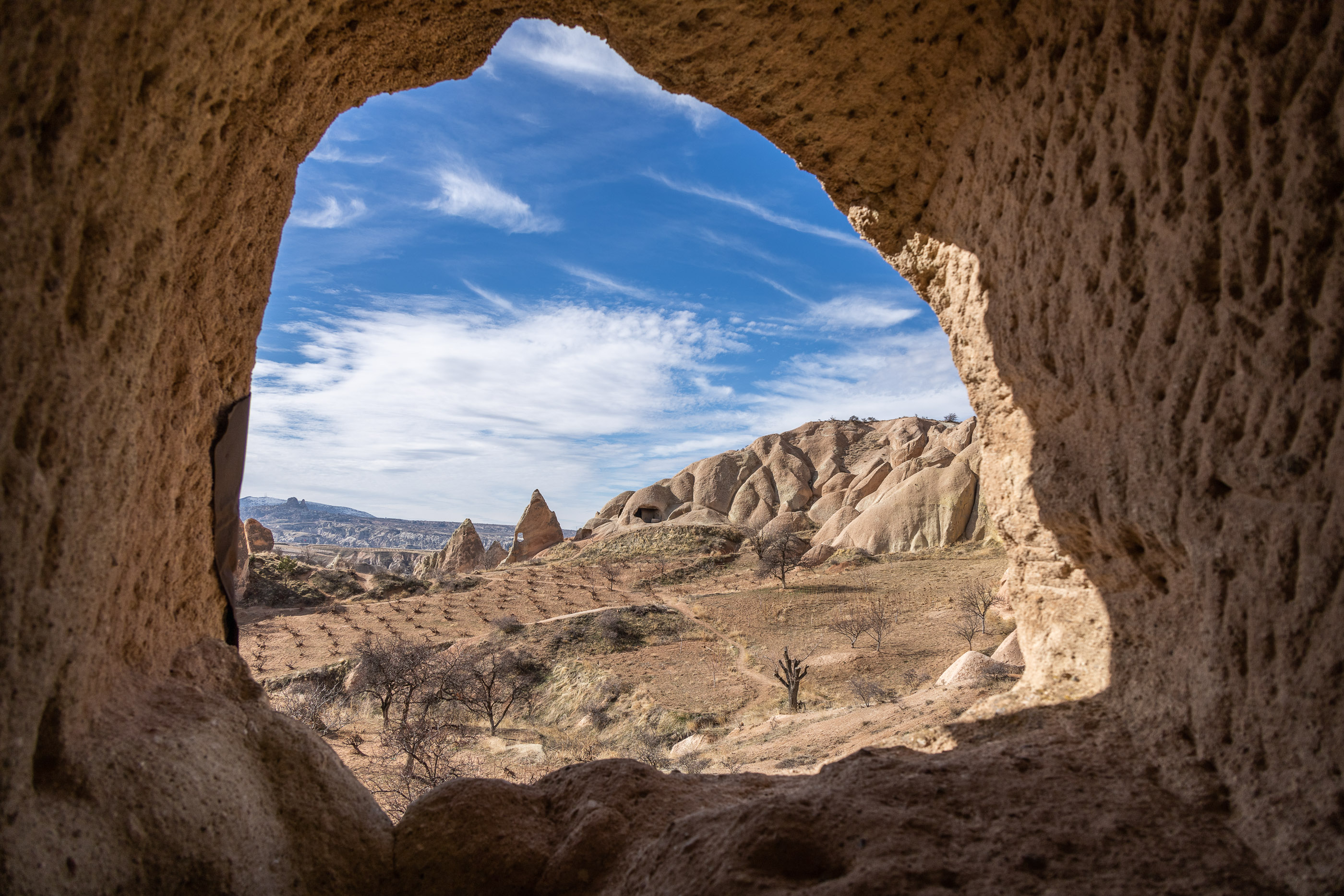 Вид из окна "Винной церкви"