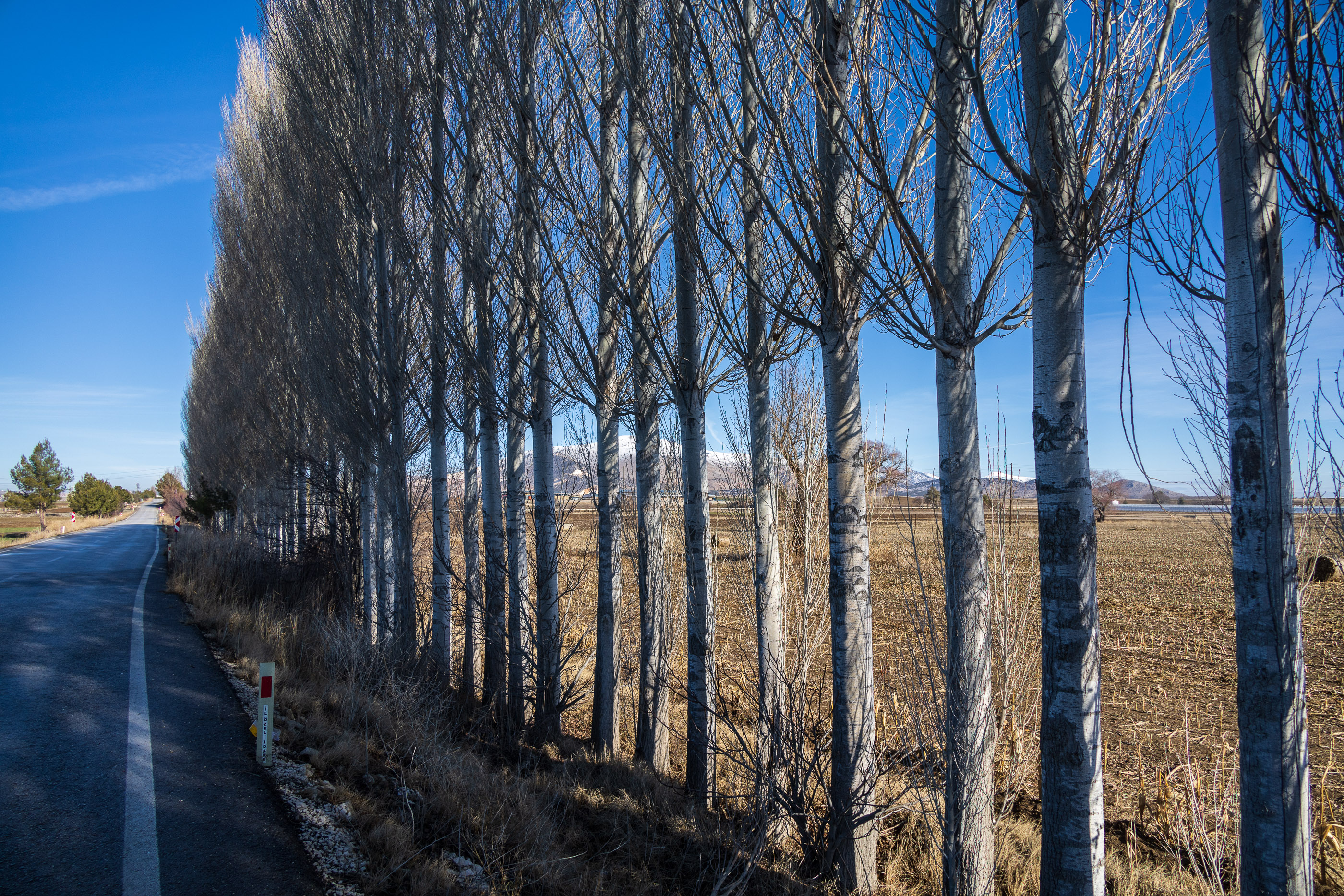 По дороге к озеру Салда