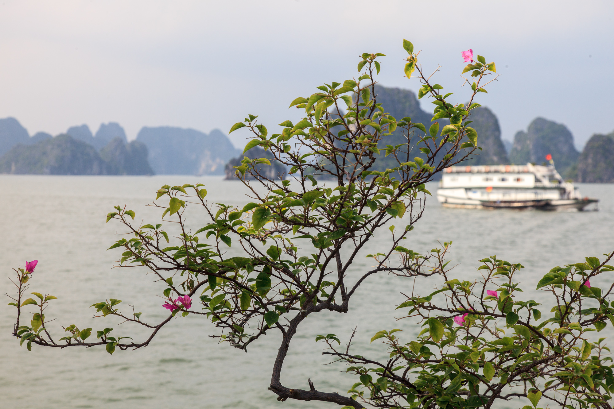 Это не вид с берега, это вид с нашего корабля