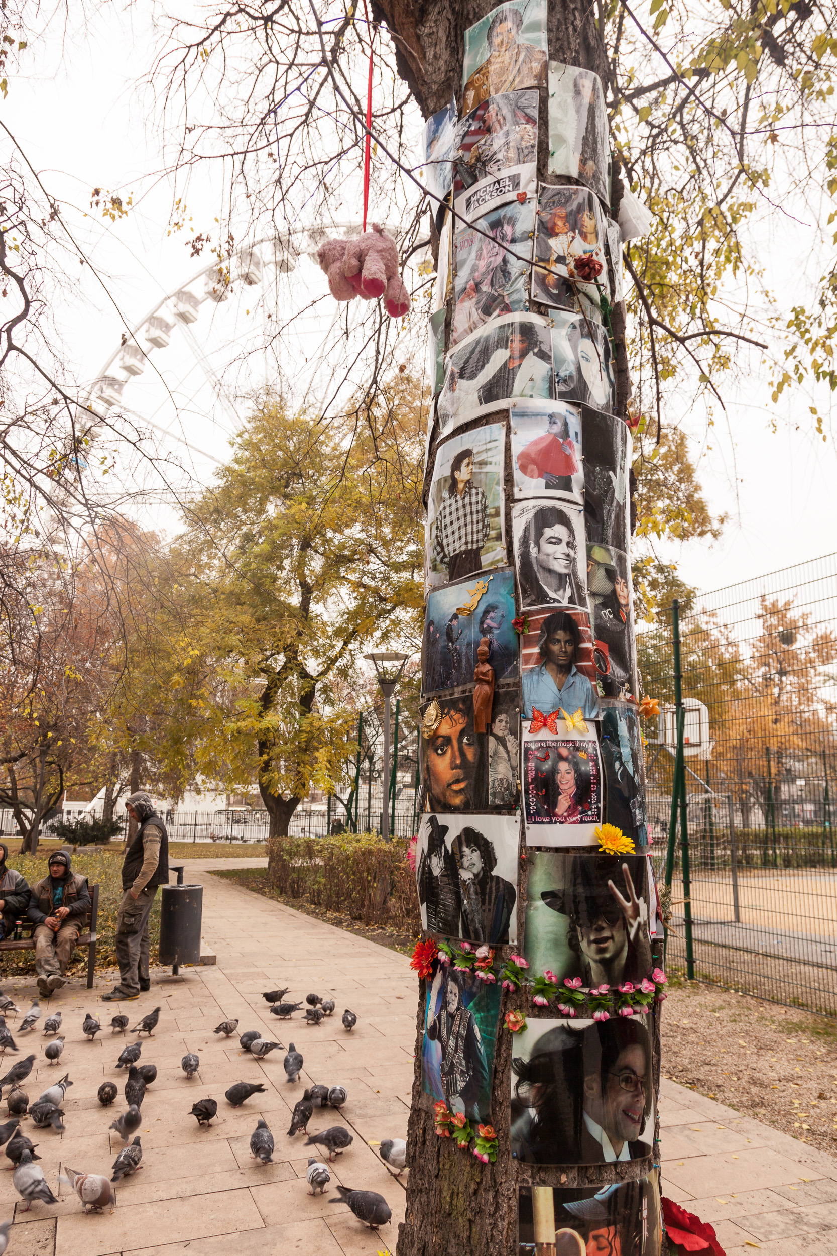 Дерево Майкла Джексона