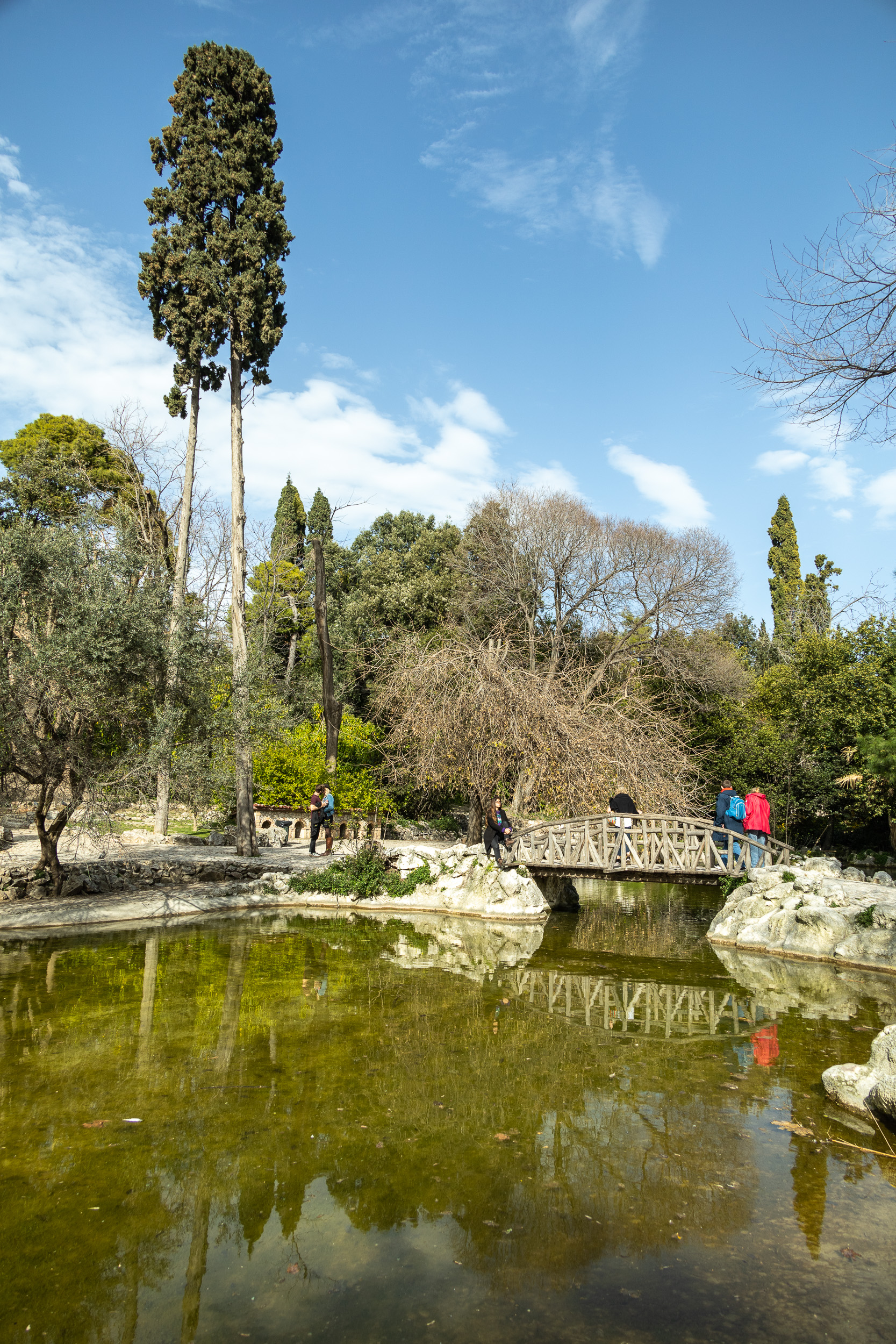 В национальном саду