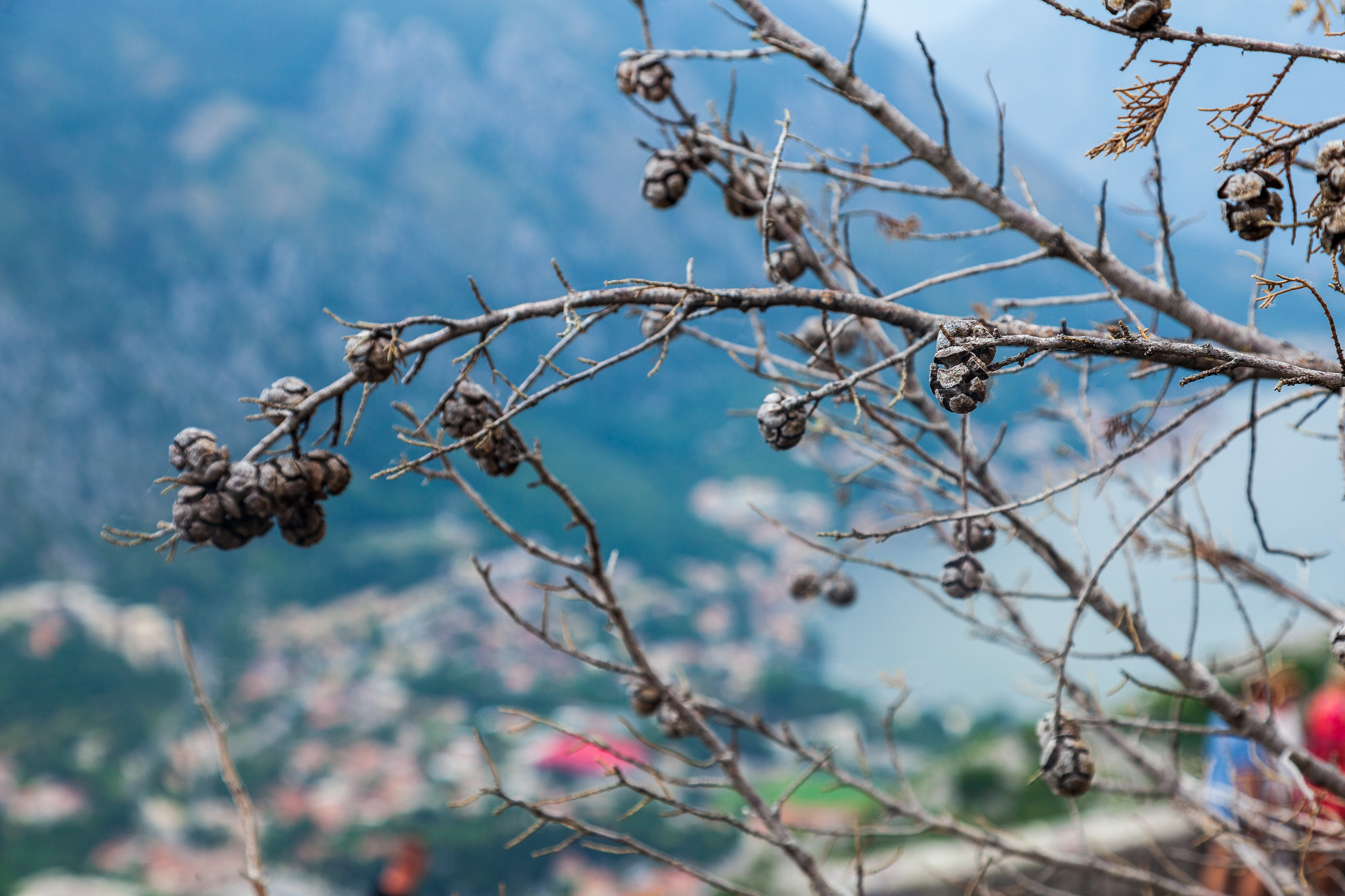 Июнь: ЕКБ и ЧРНГР