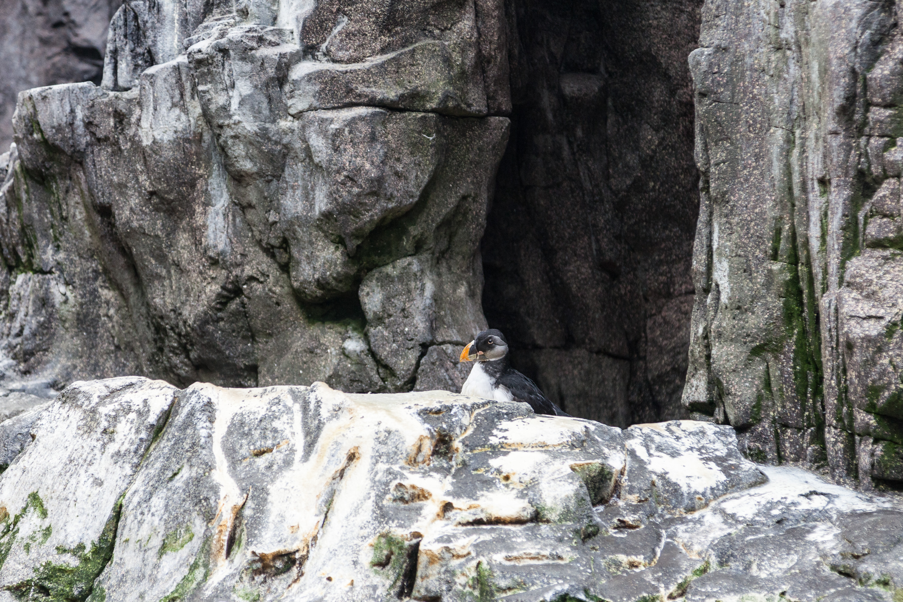 Тупики в Лиссабонском океанариуме