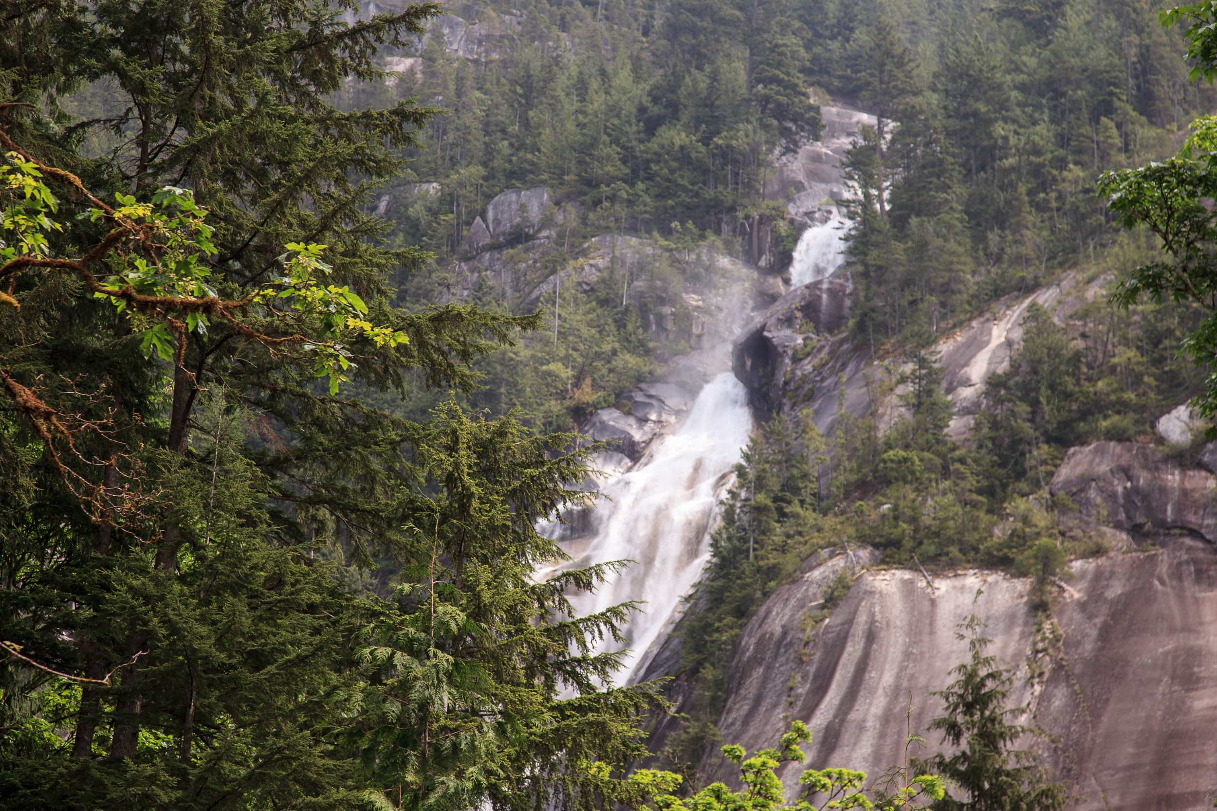 Водопады Шеннон
