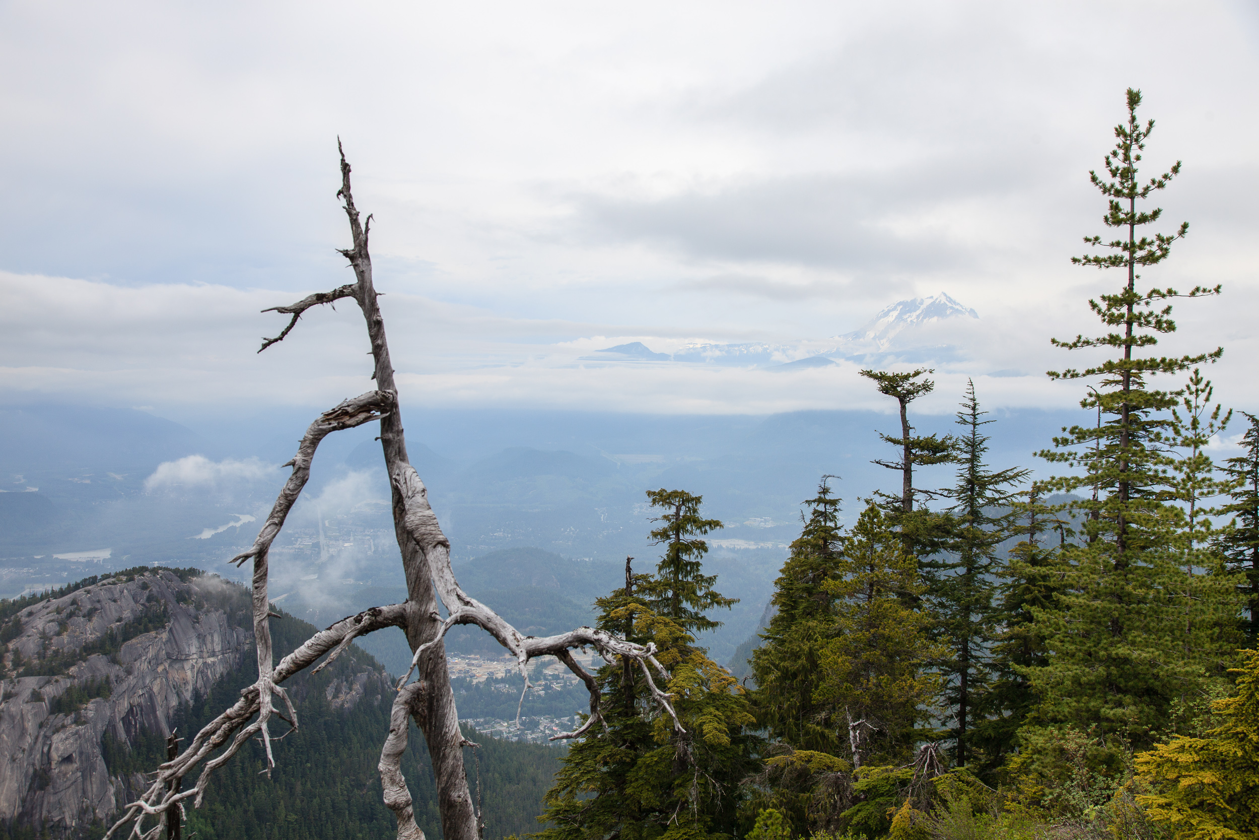 Вид на горы