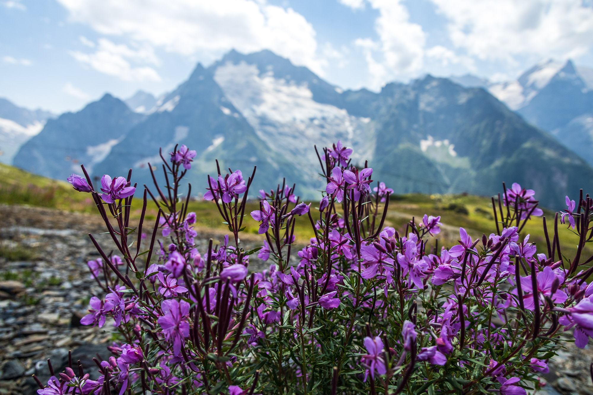 Август: Северный Кавказ