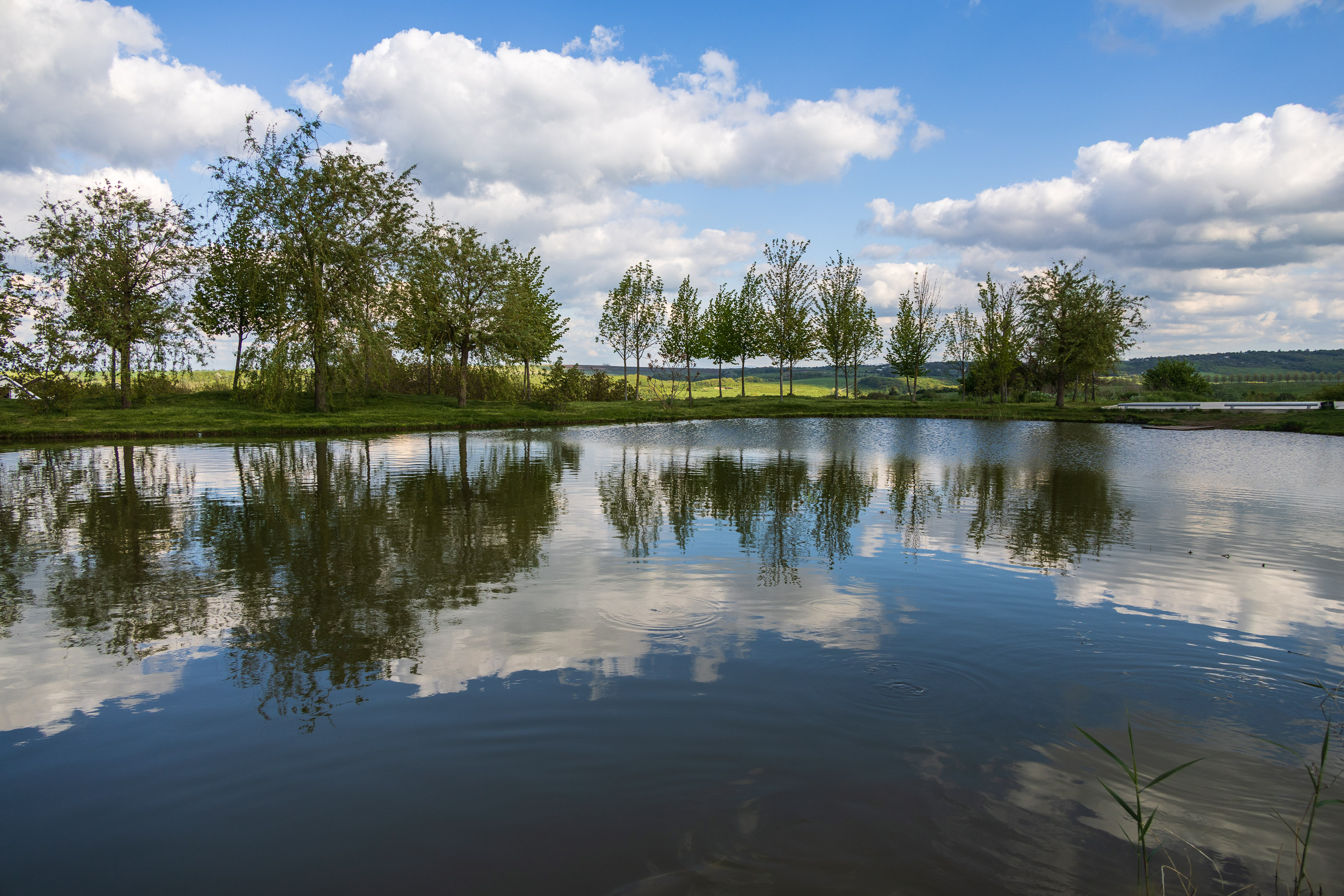 "Долина Левкадия"