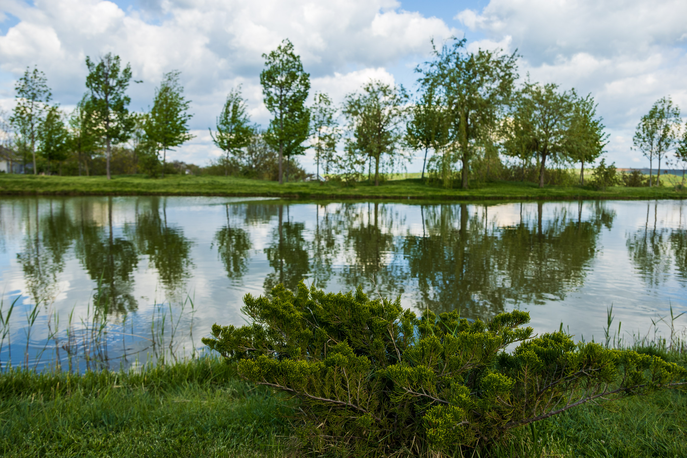"Долина Левкадия"