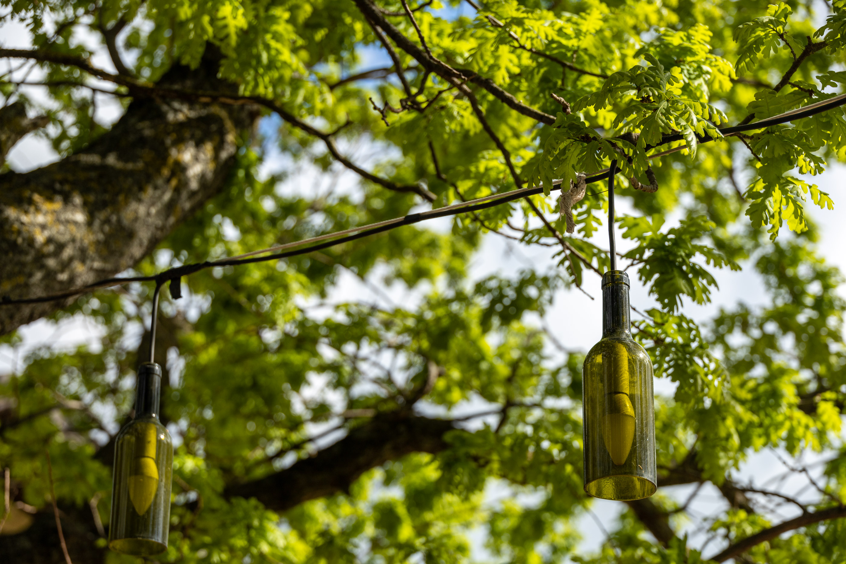 В "Винотеррии"