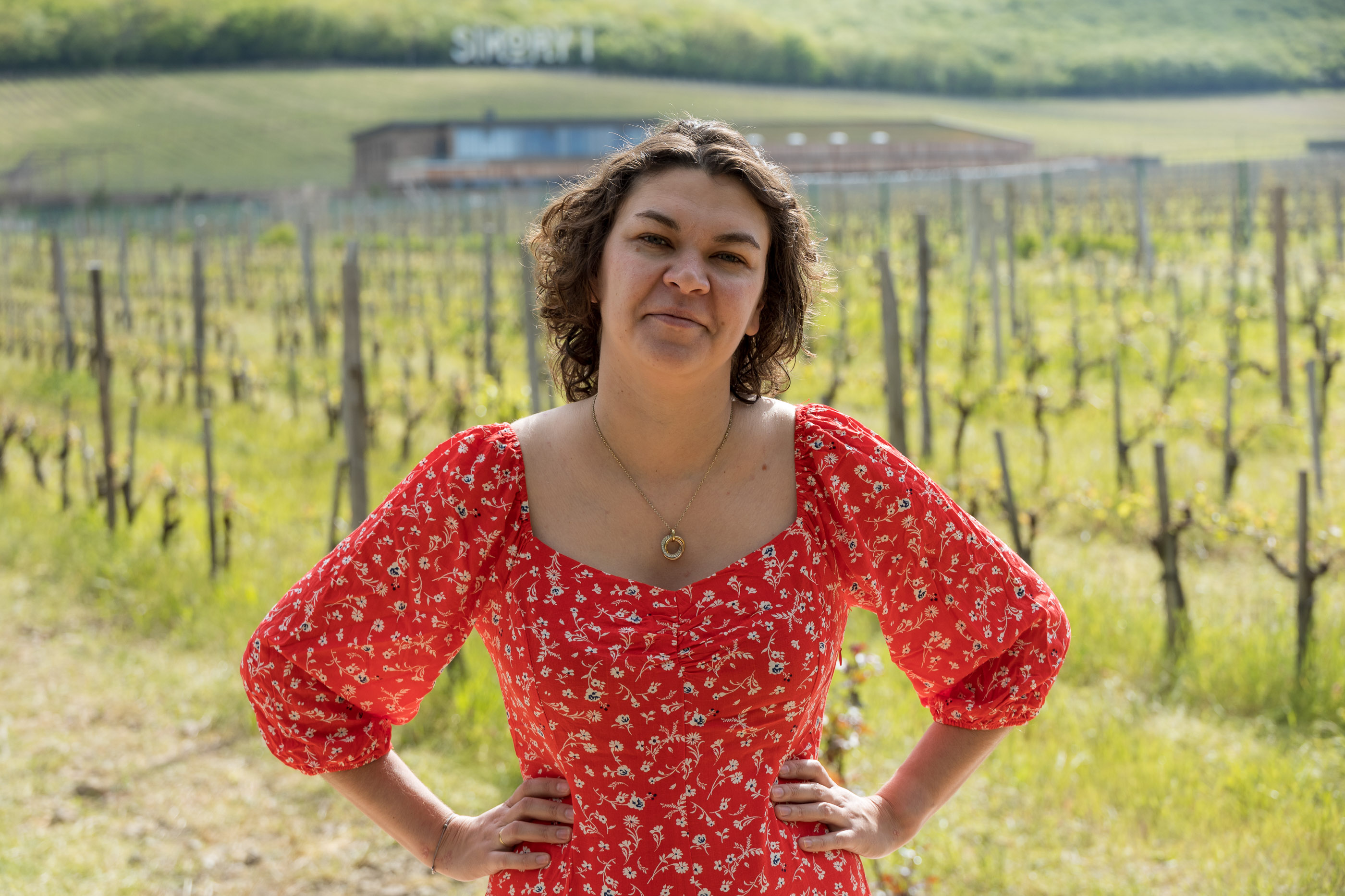 В "Винотеррии"