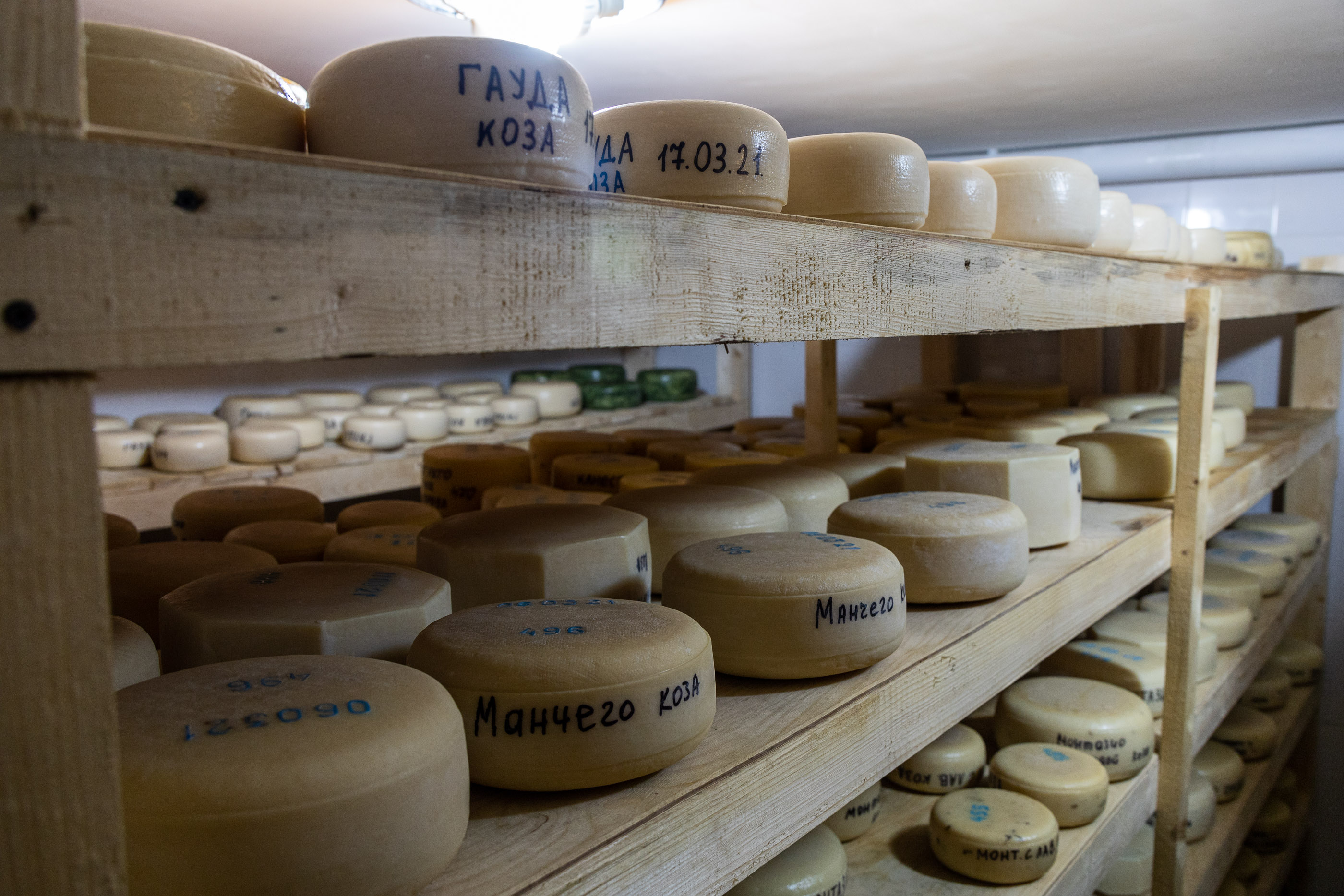 Сырное производство Коза-Хутора