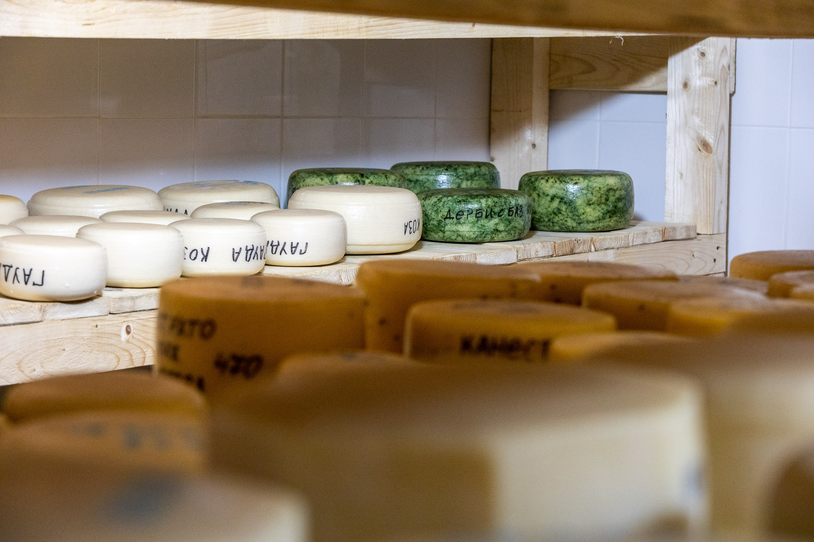 Сырное производство Коза-Хутора