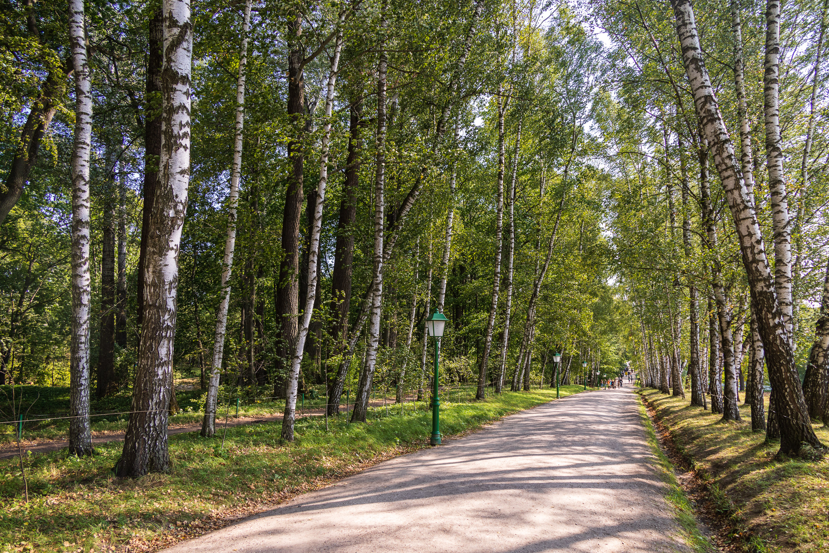 Ясная Поляна