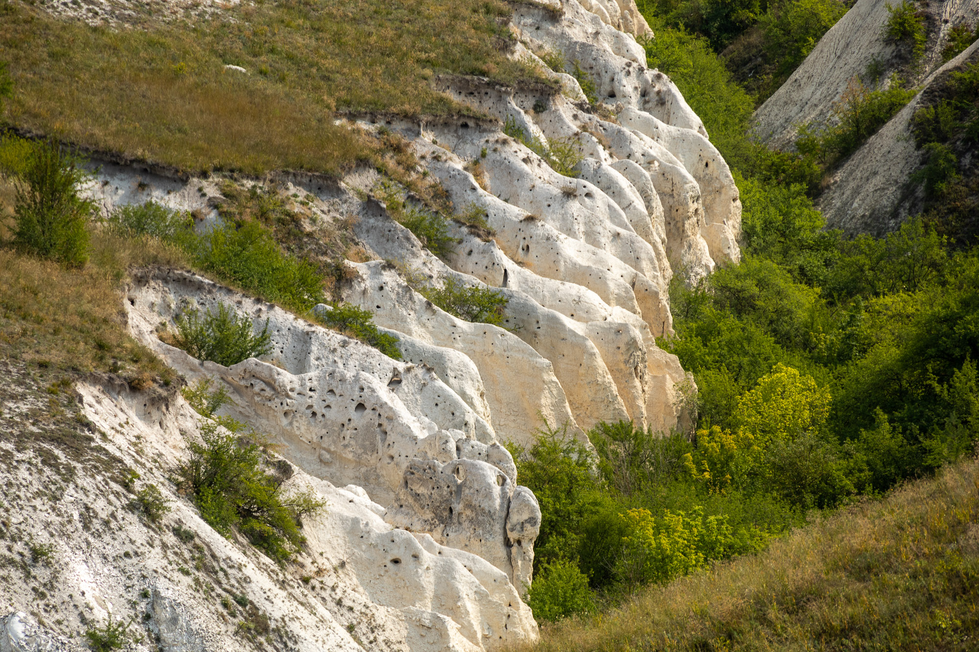 Дивногорье