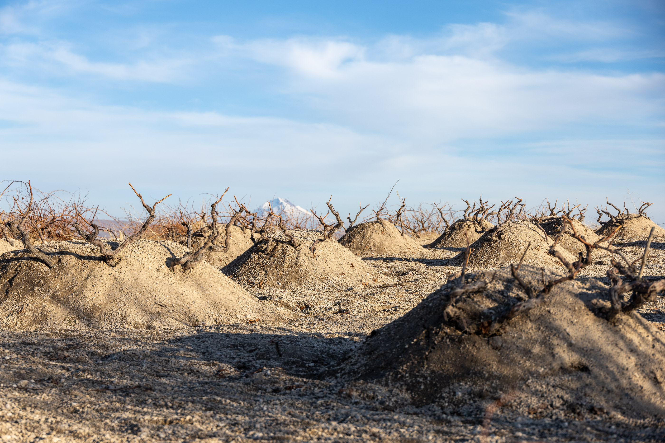 Поля над Гёреме