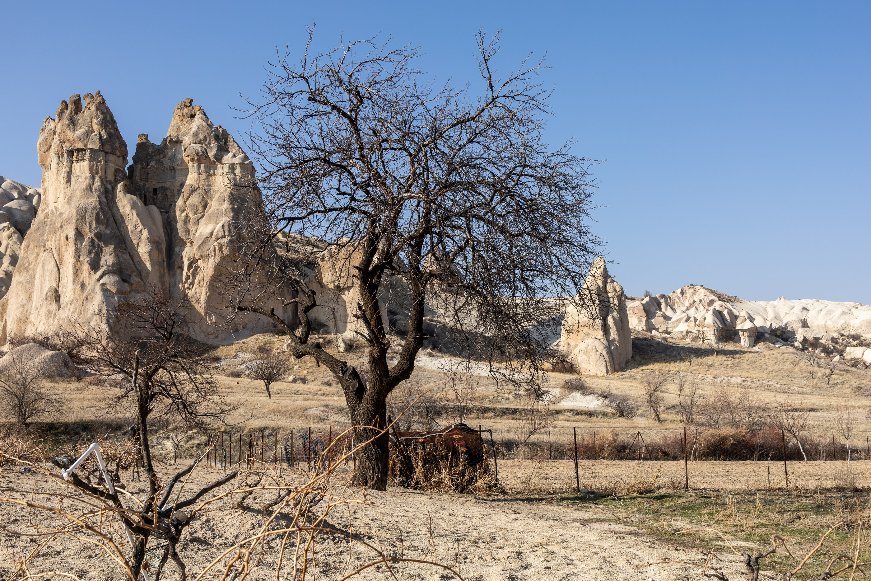 Долина Любви