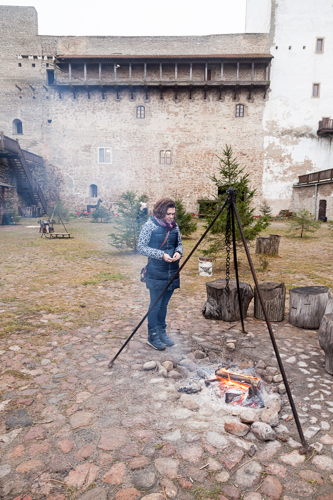 В северном дворе замка