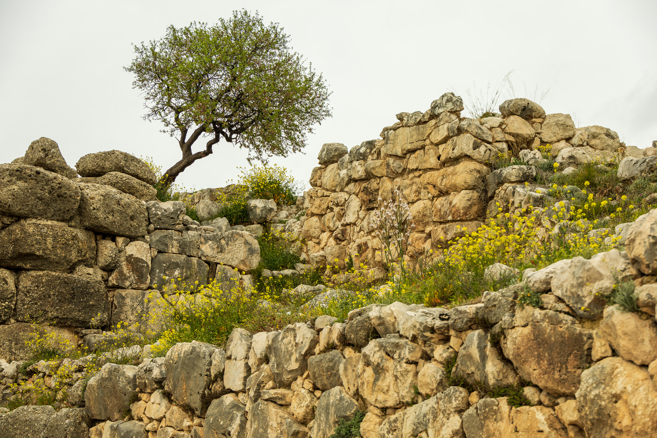 Акрополь Микен