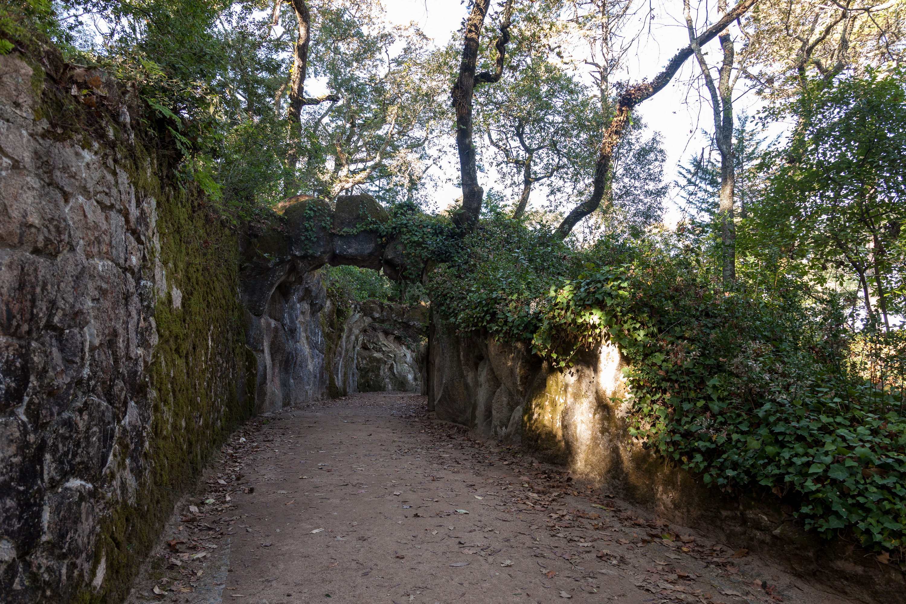 В парке Кинта да Регалейра