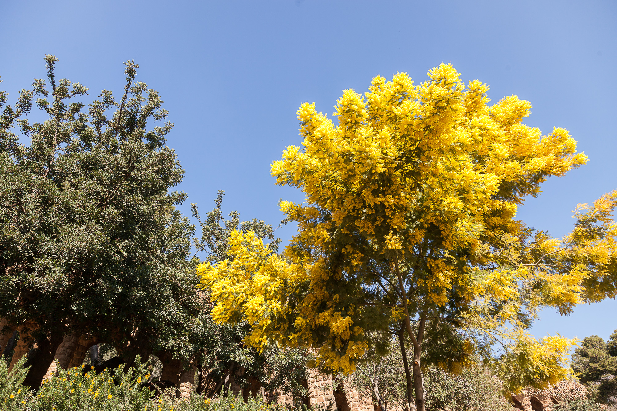 Февраль здорового человека