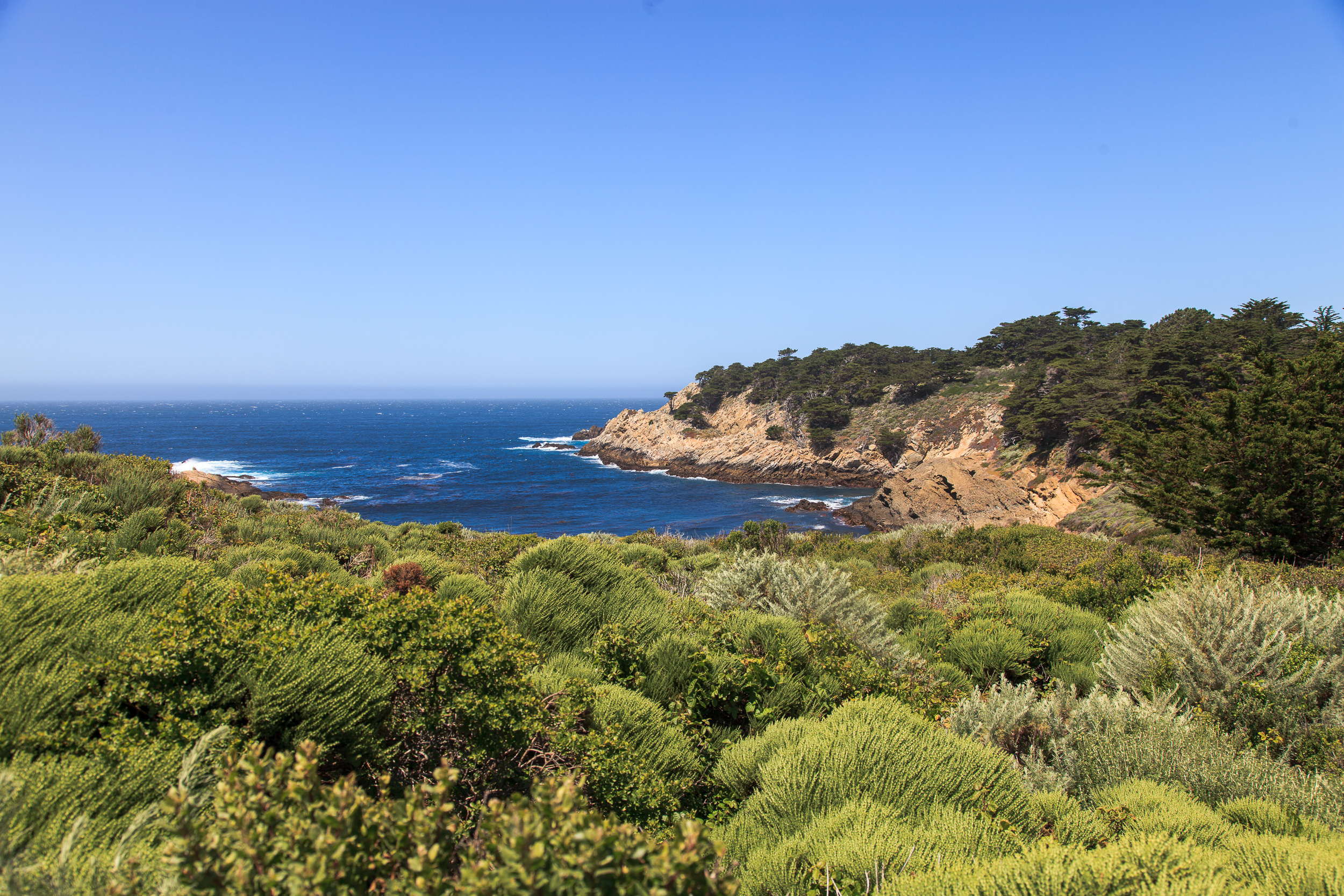 Морской заповедник «Point Lobos»