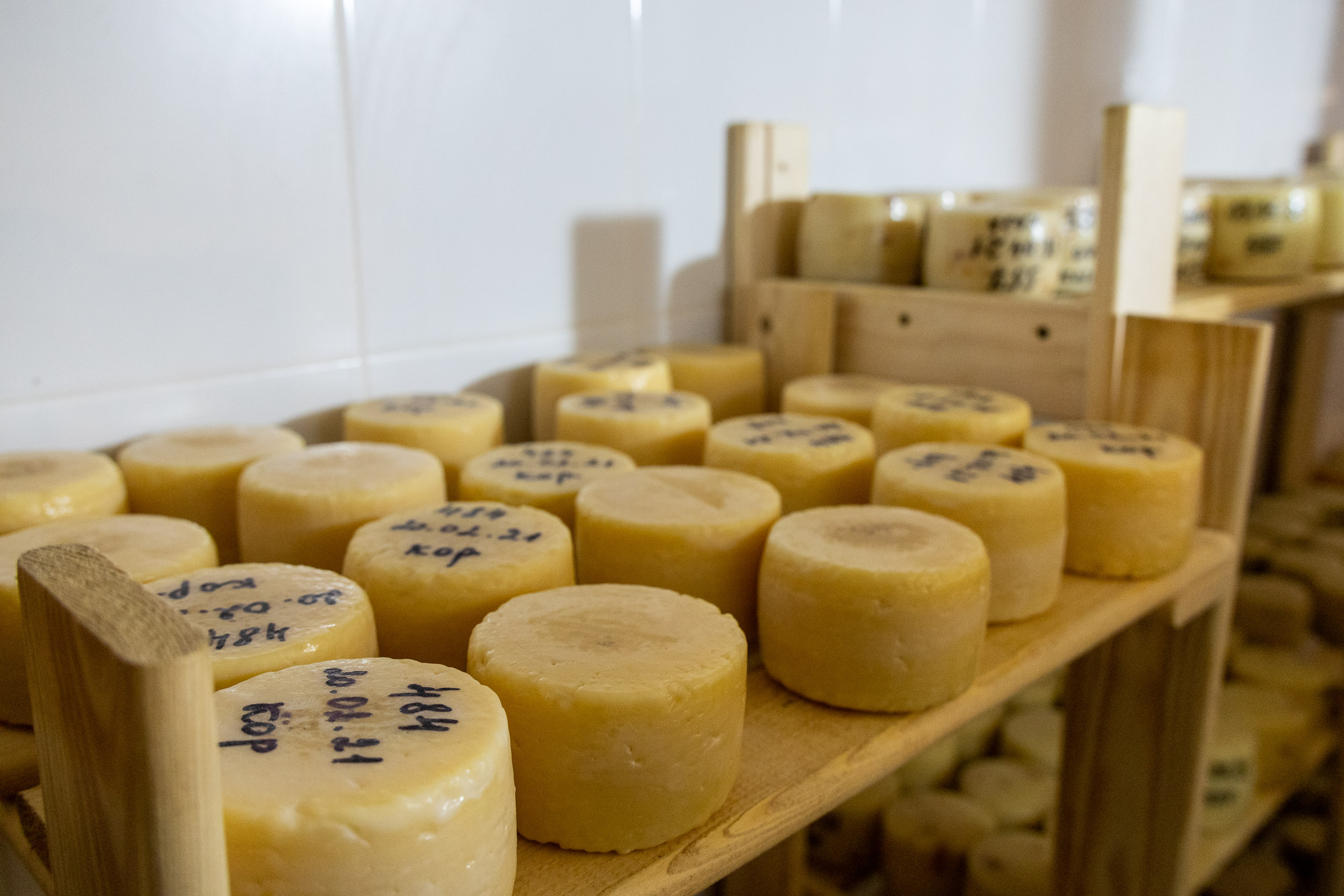 Сырное производство Коза-Хутора