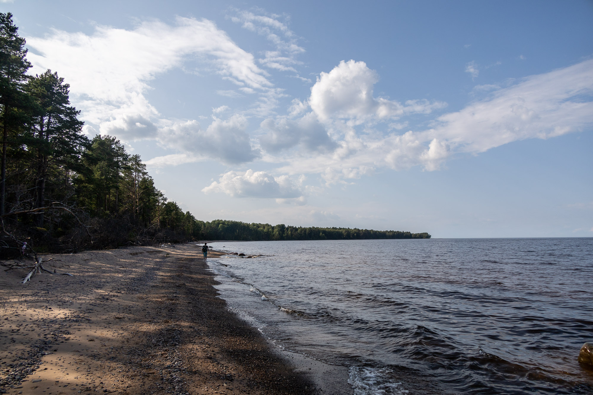 Онежской берег