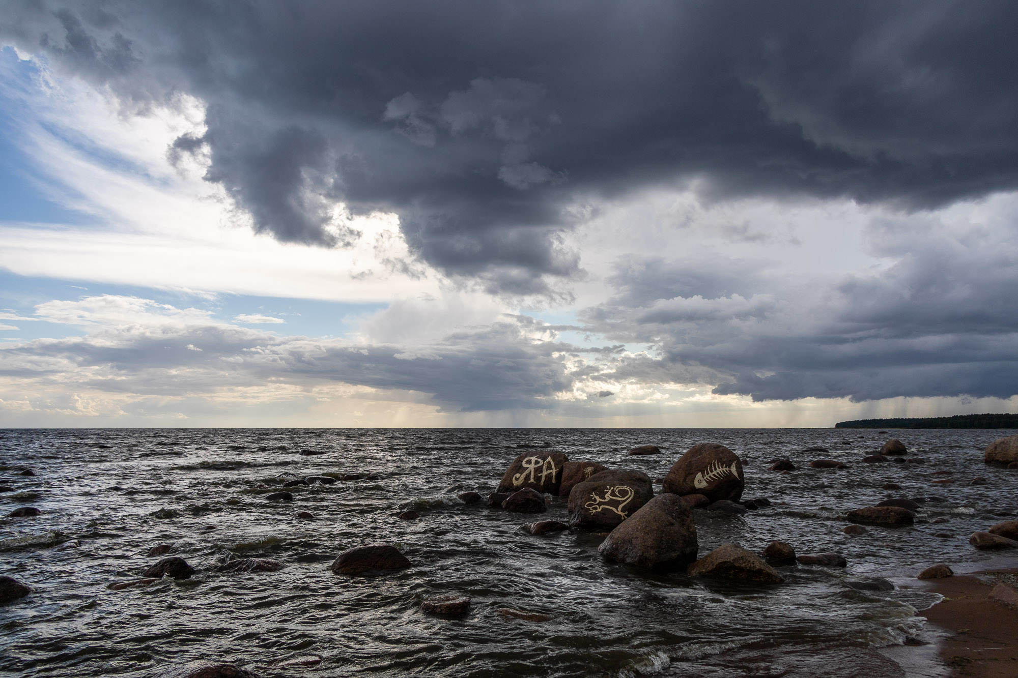 Финский залив