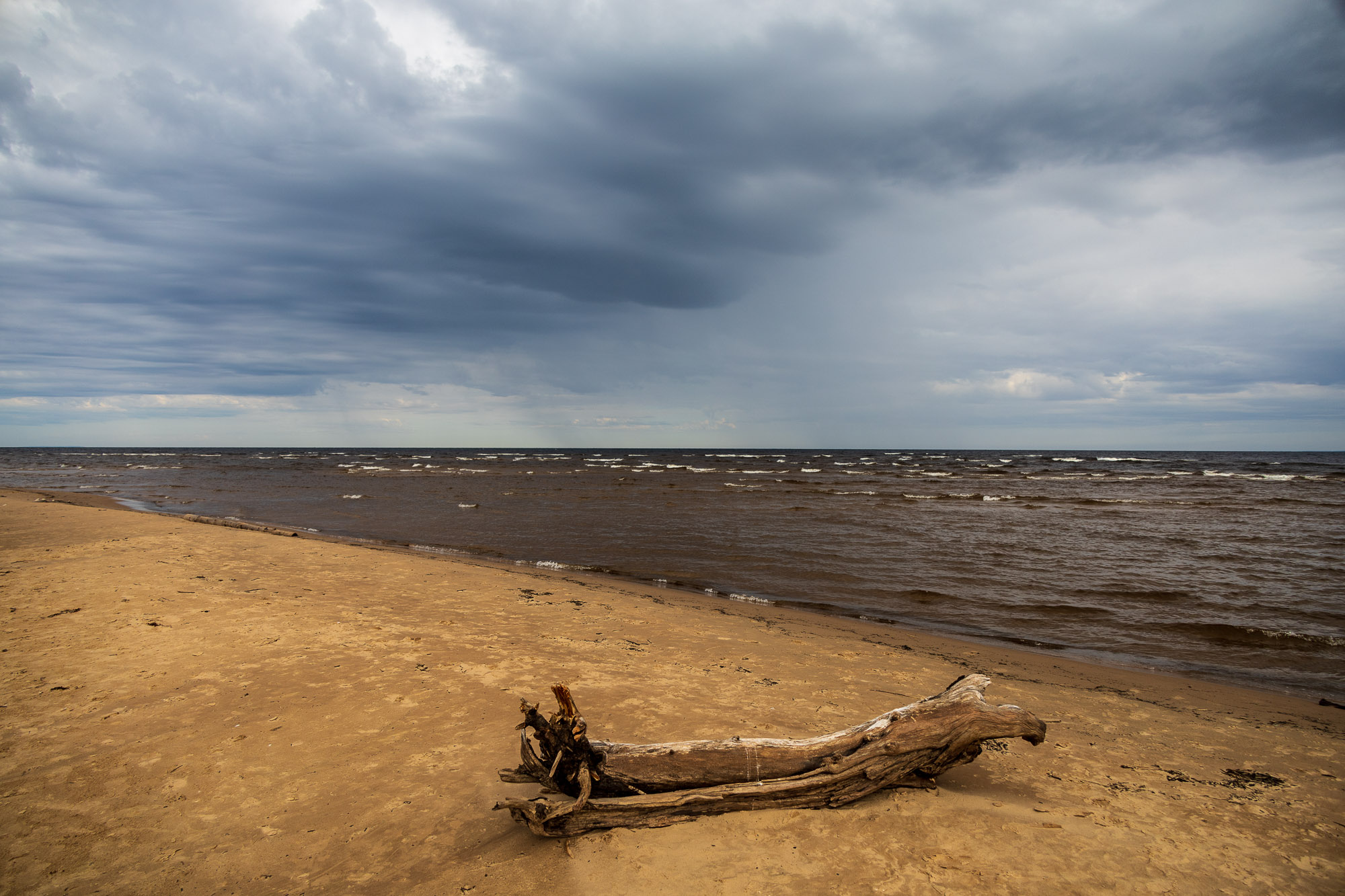 Берег Онеги