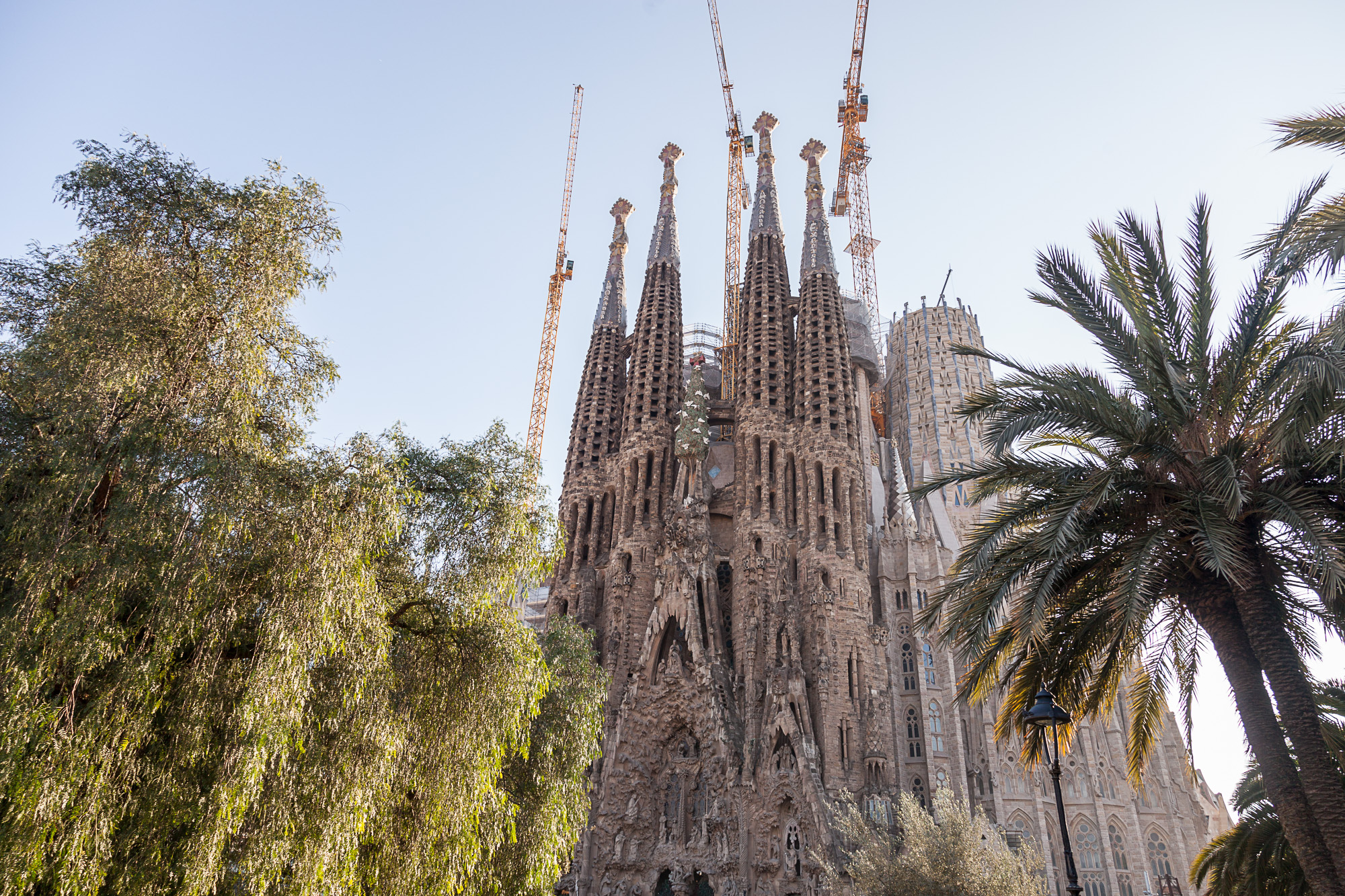 Собор Святого Семейства