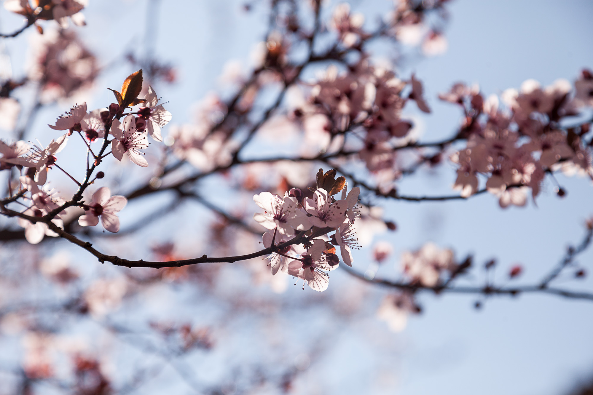 Февраль здорового человека